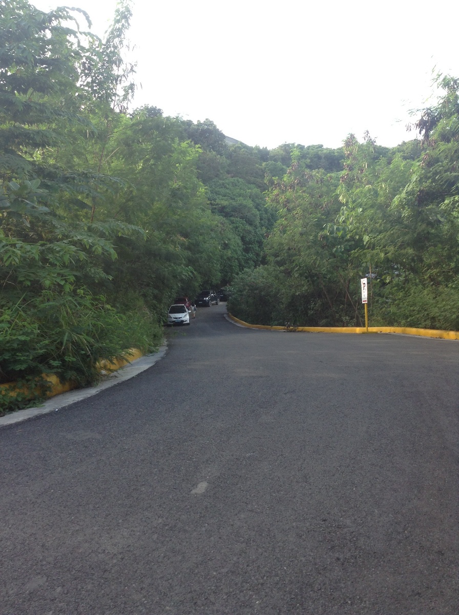 Roadside2, roads, pathways