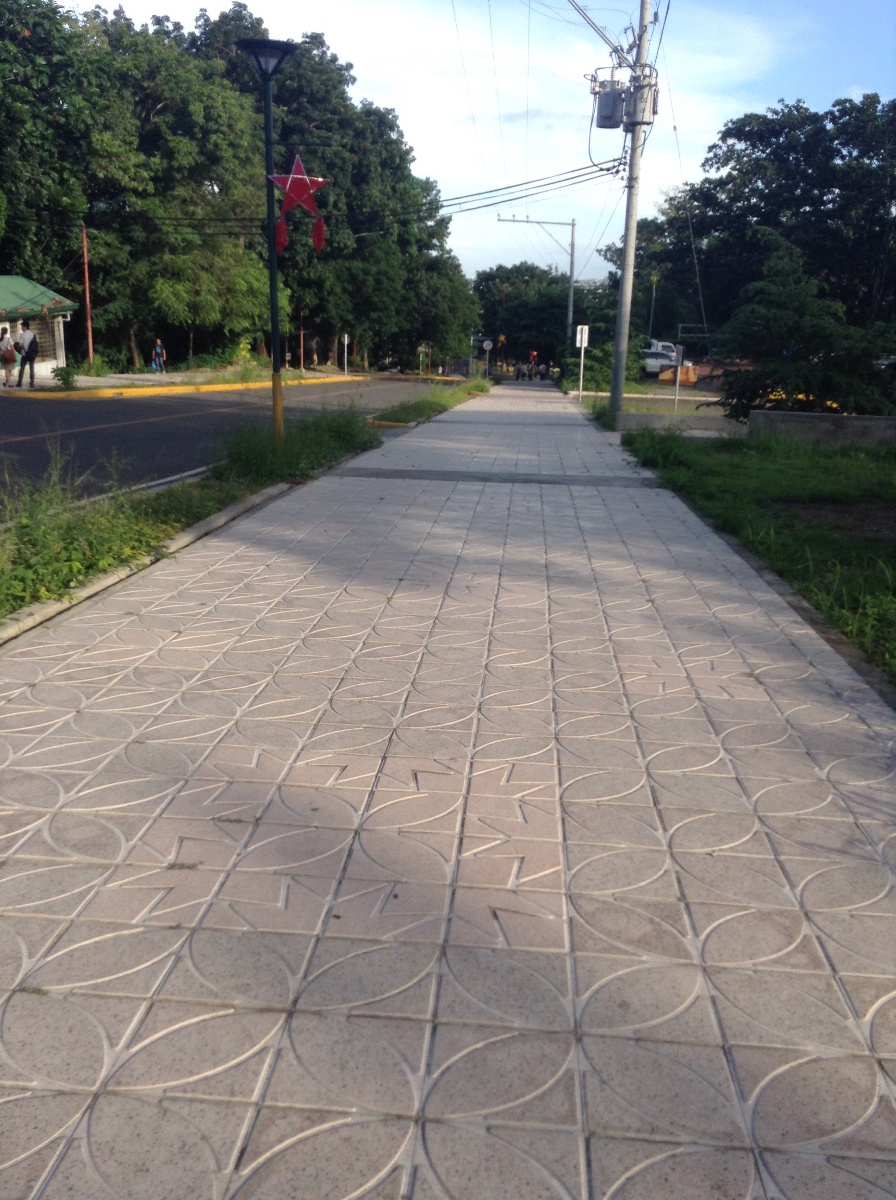 School pathway