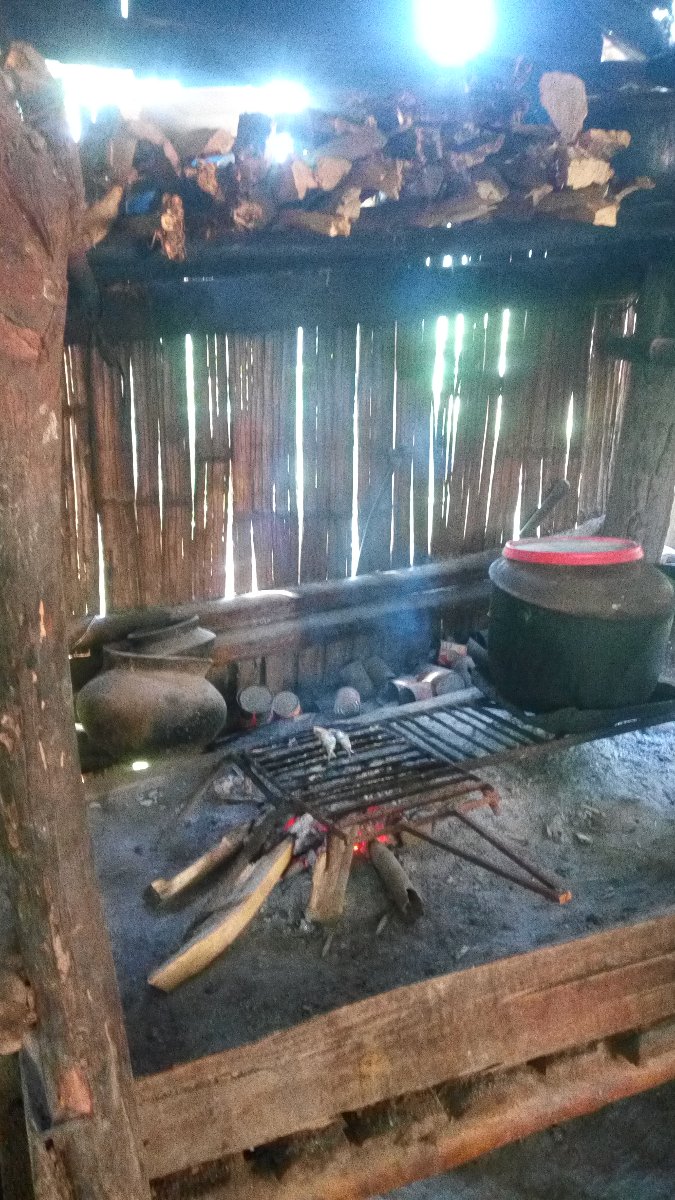 urban life, woods, pots, fish, bohol