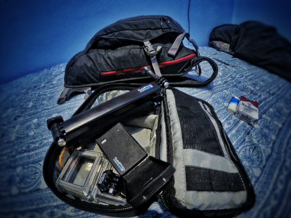 traveller