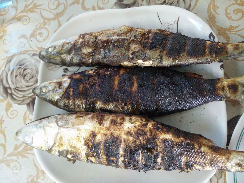 Grilled Bangus