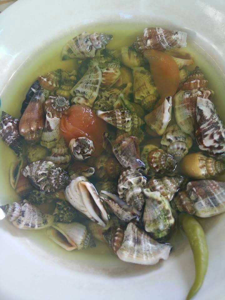 aninikad
