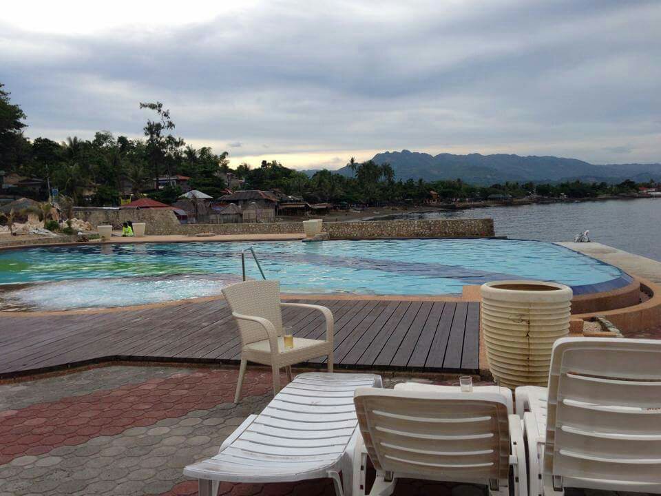coco palms