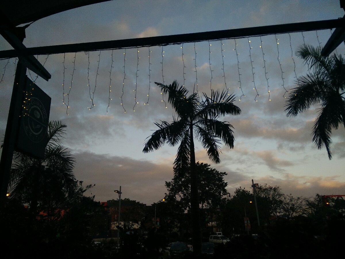 coffee bean sunset