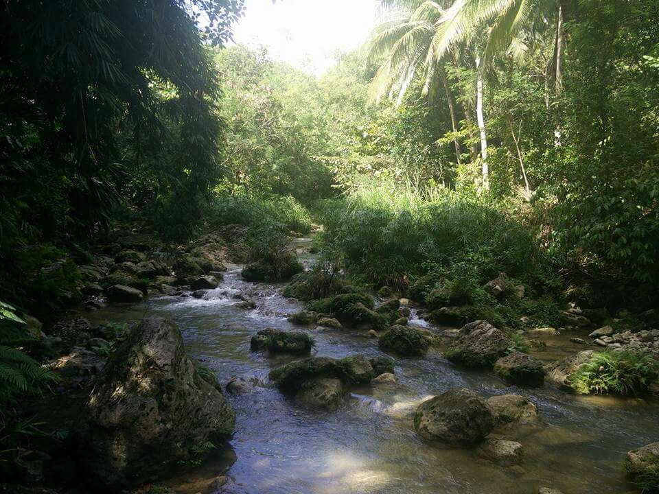 flowing from the cold spring
