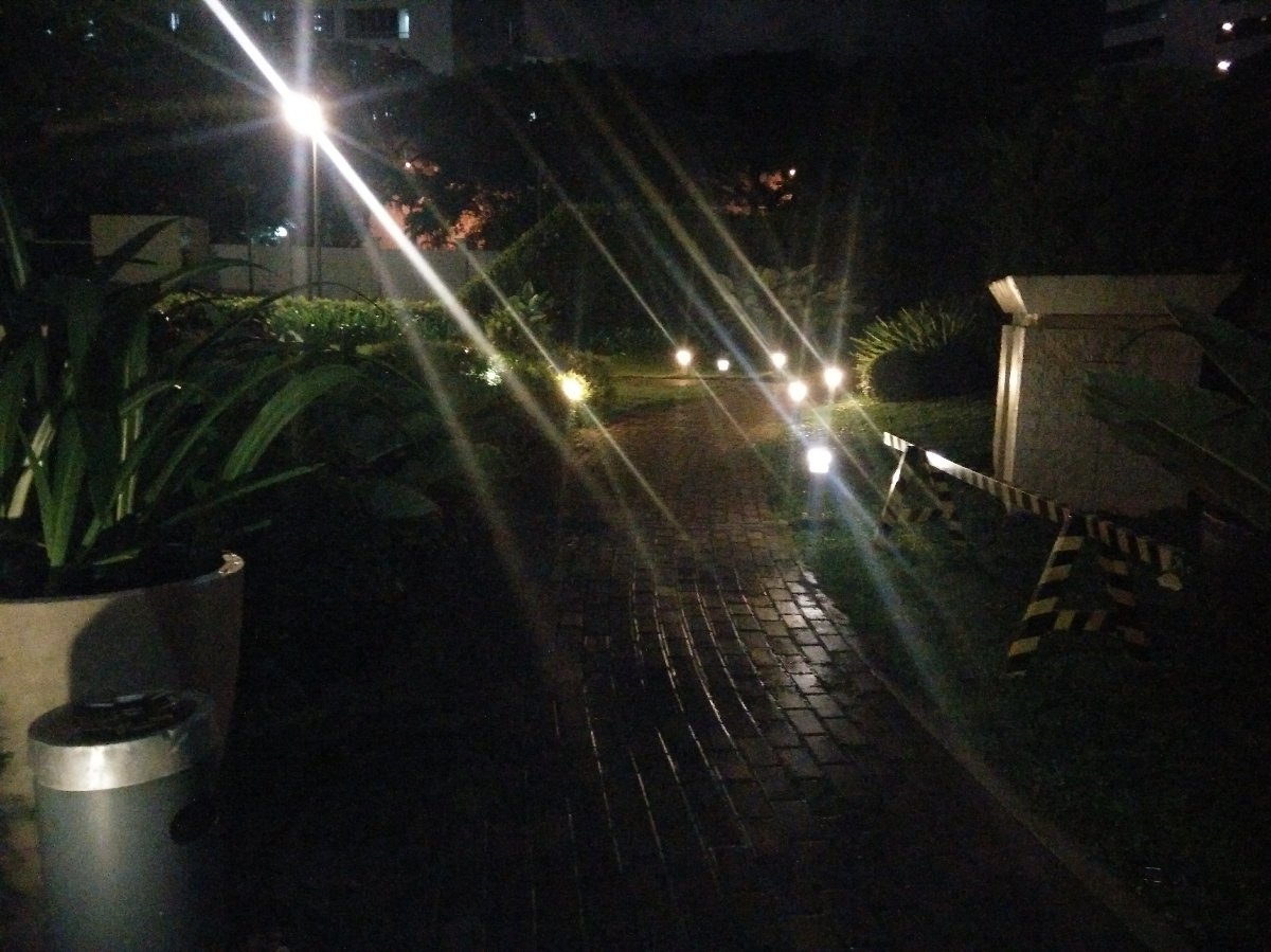 garden lights