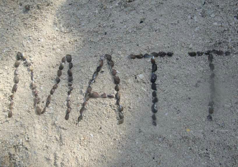 matt shells