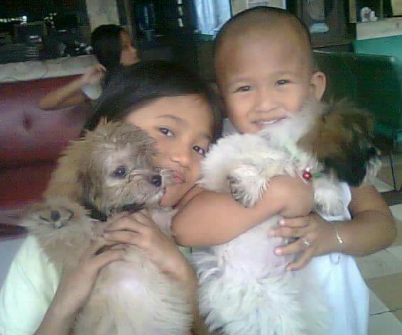puppies and cuties