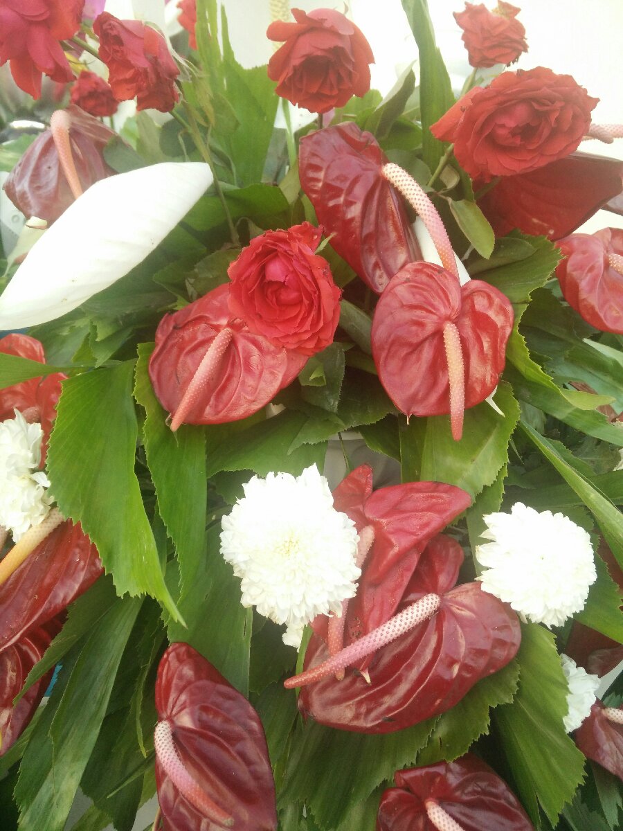 red and white