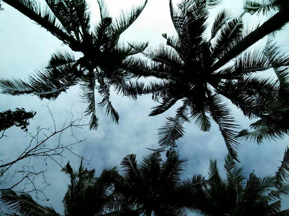 sky view from frontcam
