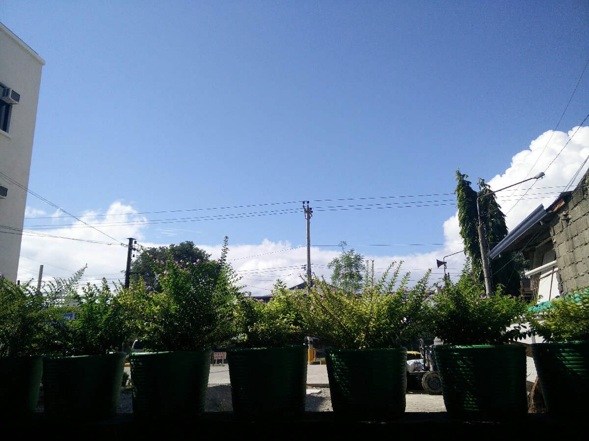 sunny day