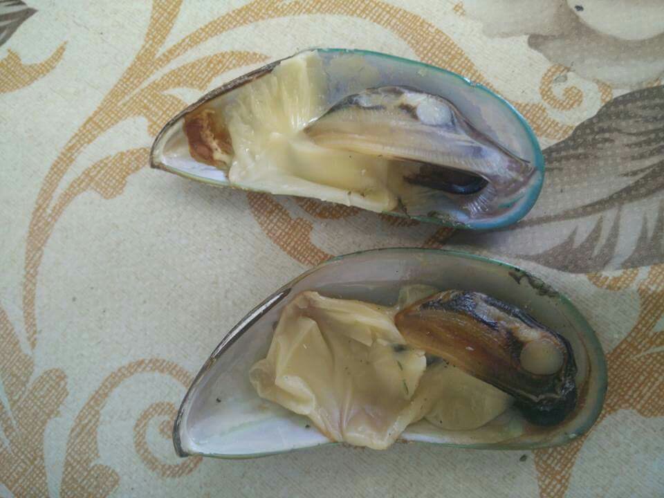 tahong with melted cheese
