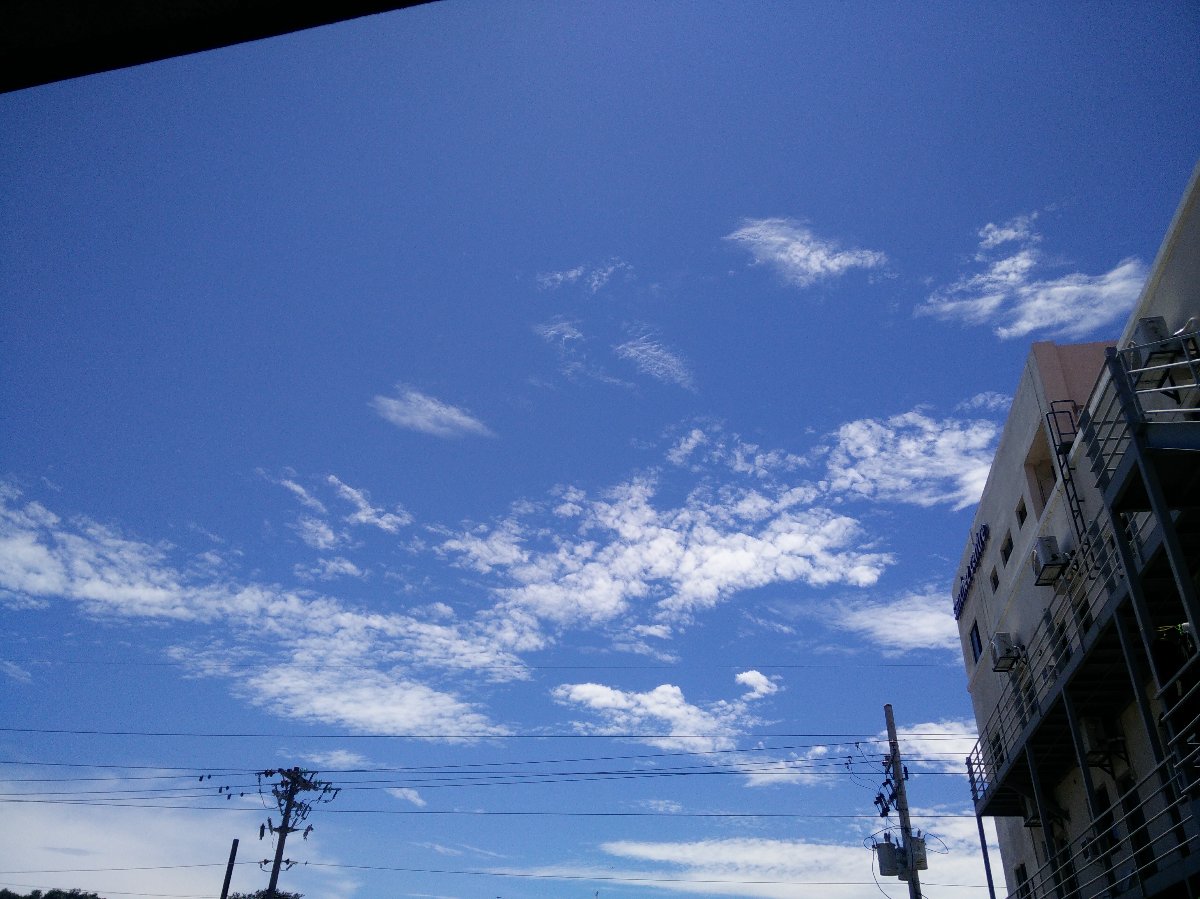 the skies today