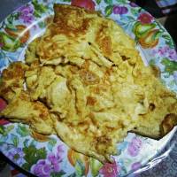 egg omelet