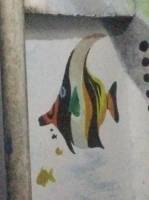 wall painting, fishies