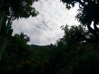 that view