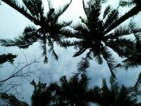 frontcam take of the sky 02 18 2016