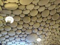 shell lights