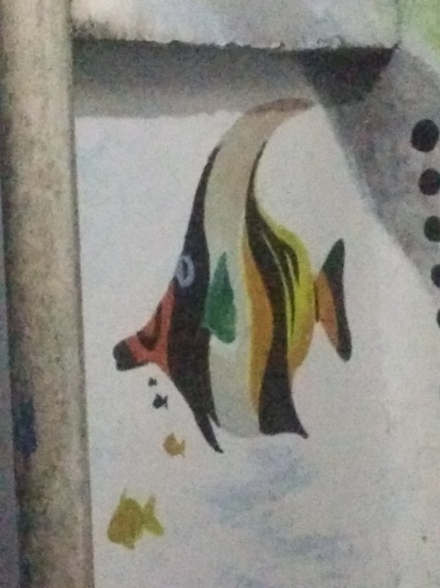 wall paint