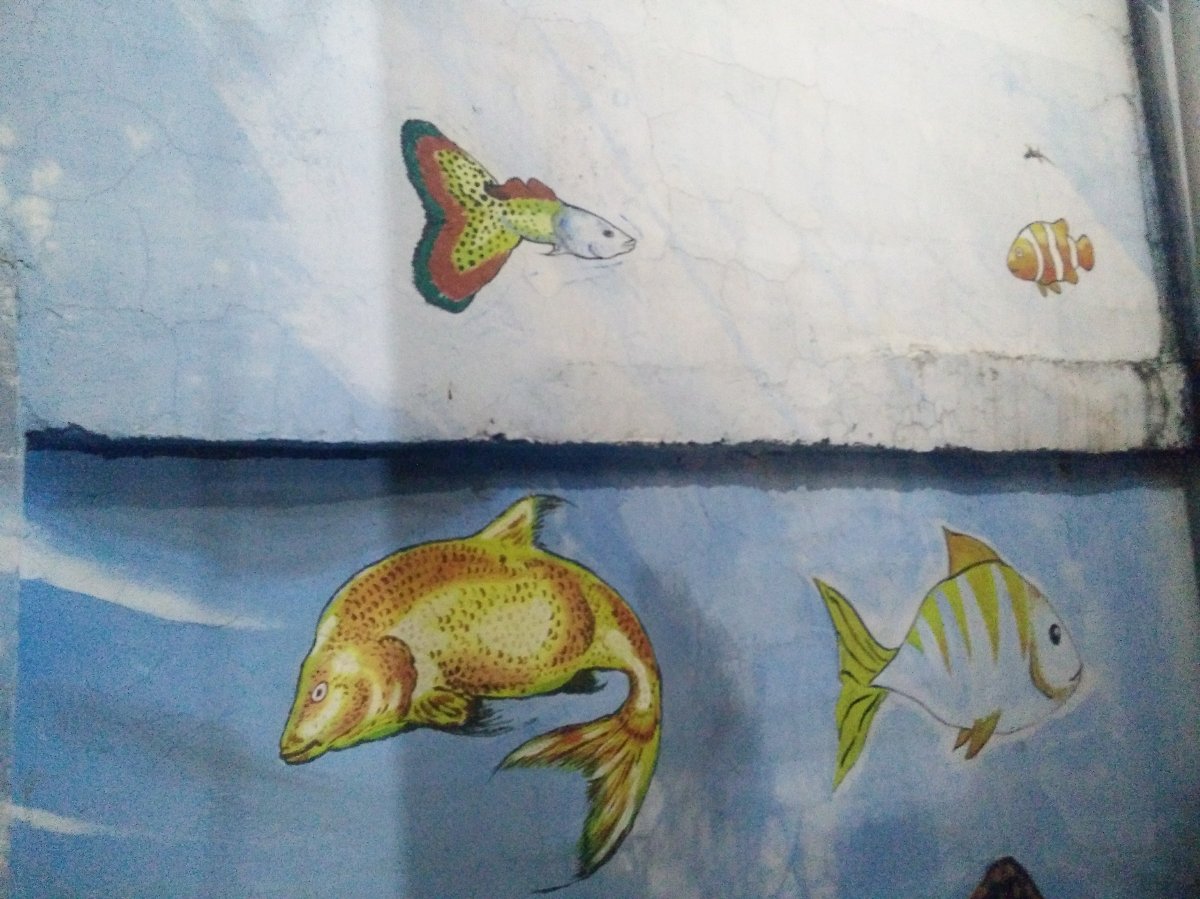 wall painting, fishies