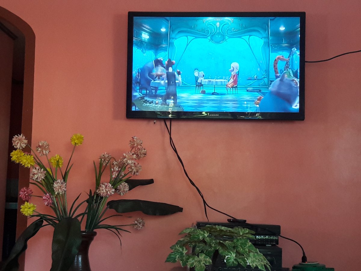 movie marathon, sing , irich as subject , movie