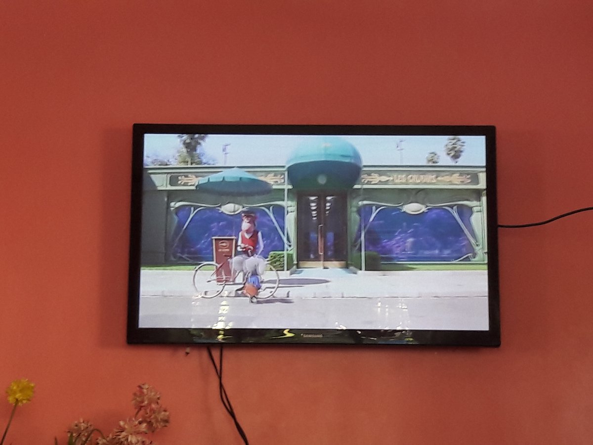 movie marathon, sing , irich as subject , movie