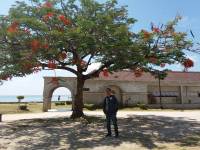Oslob