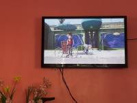 movie marathon, sing , irich as subject , movie
