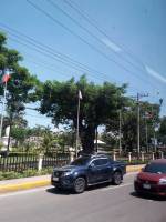 Plaza independencia