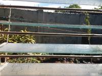 Happy girls