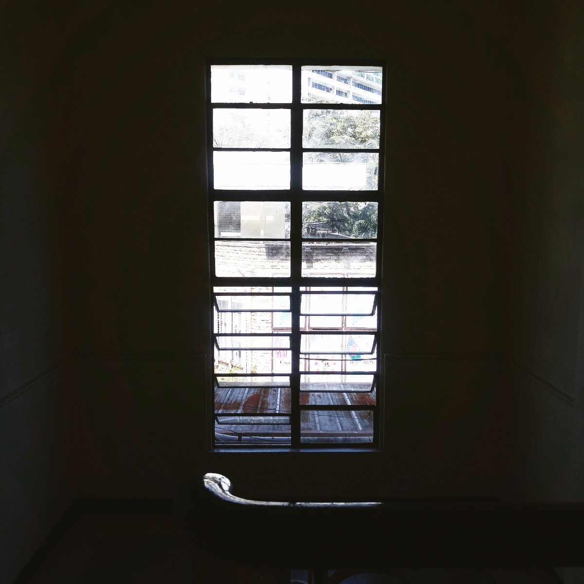 Window