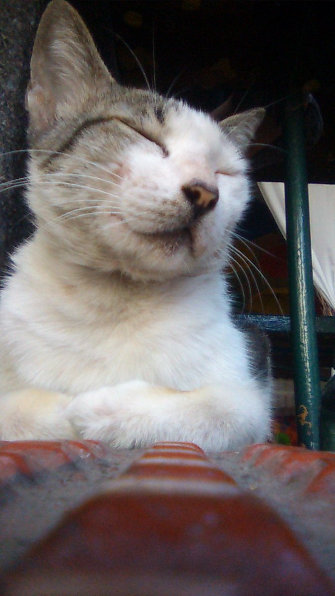 Photo uploaded by itsyd223, 1