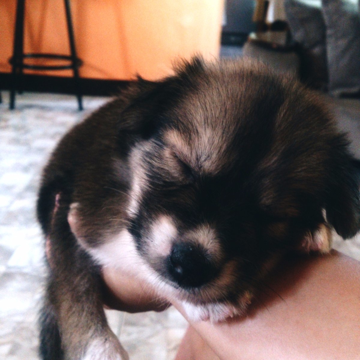 Photo uploaded by itsyd223, 15