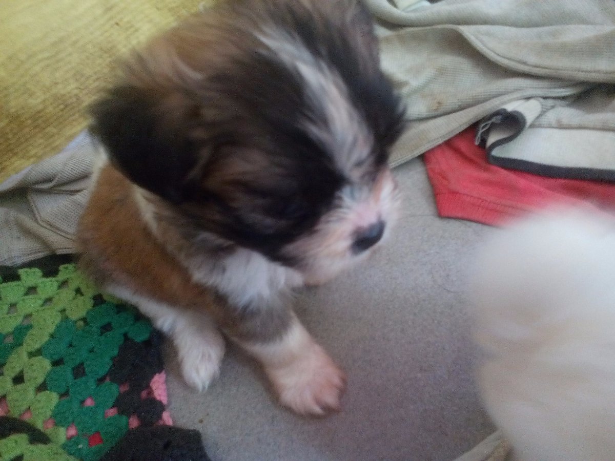 Photo uploaded by janes177, 81