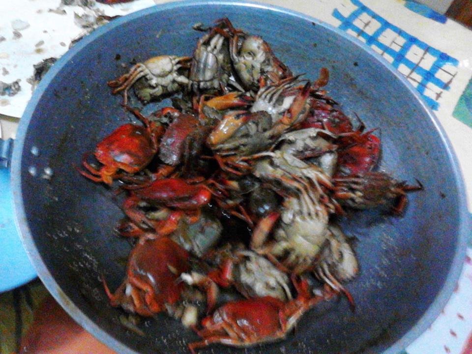 crabs for tonight
