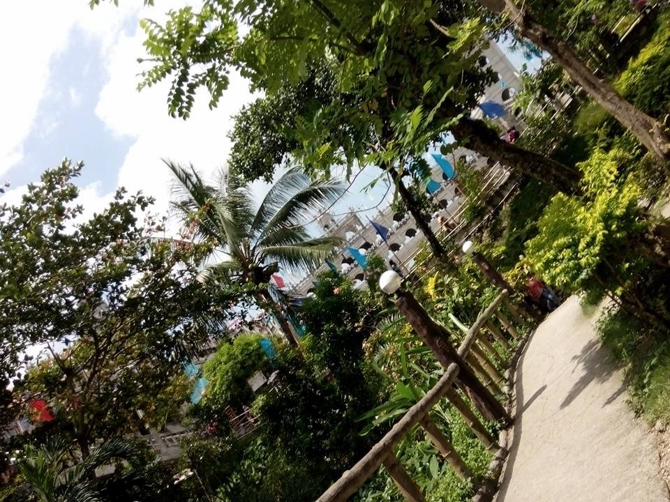 Photo uploaded by janin122, 256