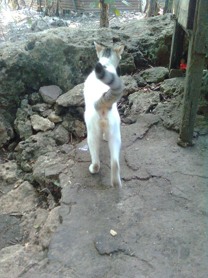 Photo uploaded by janin122, 268
