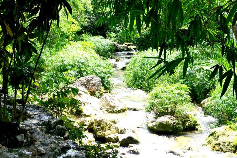 Photo uploaded by janin122, 276