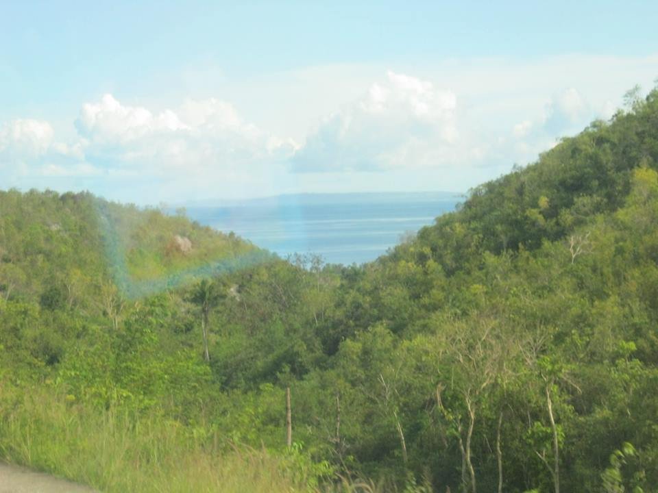 Photo uploaded by janin122, 300