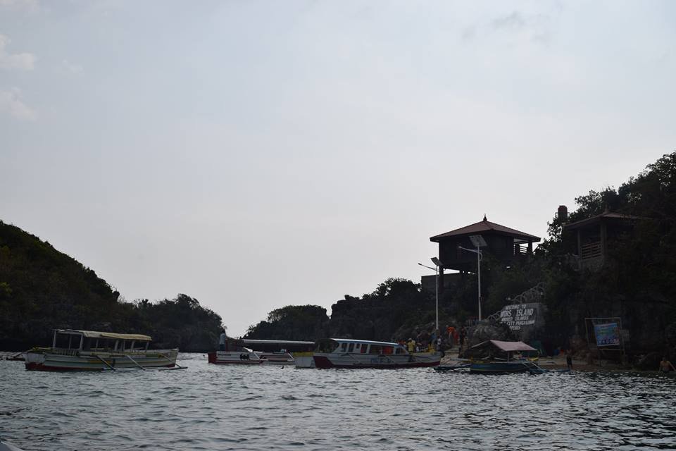 Photo uploaded by janin122, 389
