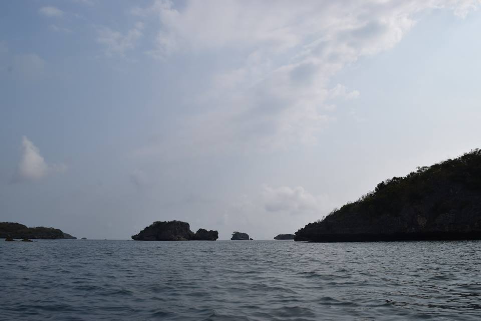 Photo uploaded by janin122, 393