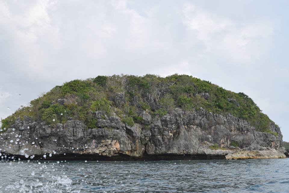Photo uploaded by janin122, 398