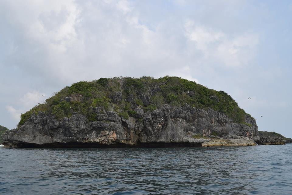 Photo uploaded by janin122, 399