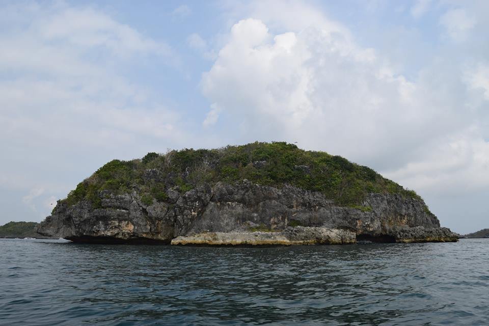 Photo uploaded by janin122, 401