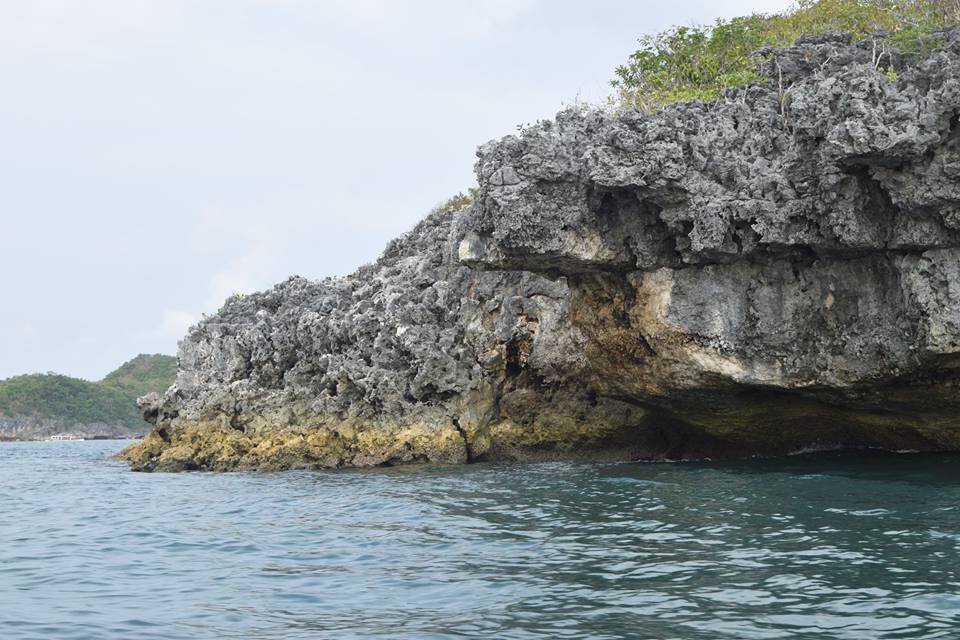 Photo uploaded by janin122, 406