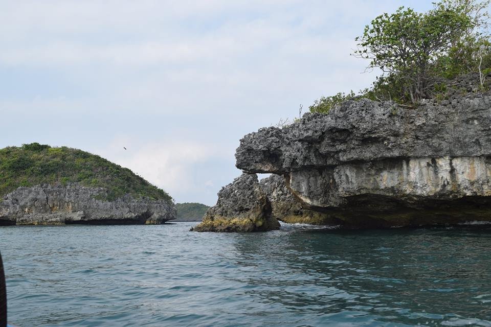 Photo uploaded by janin122, 407