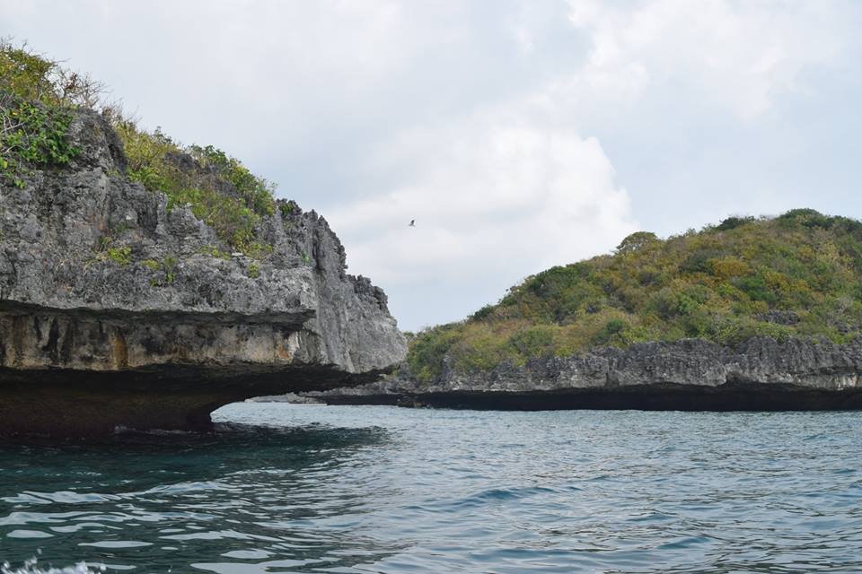 Photo uploaded by janin122, 408