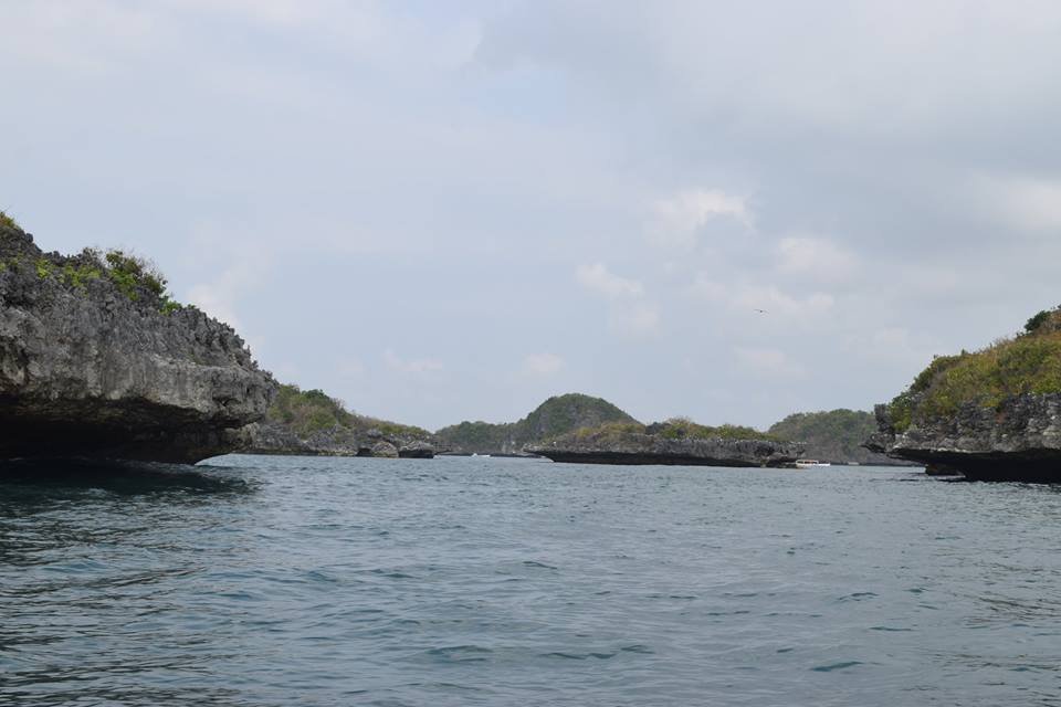 Photo uploaded by janin122, 413
