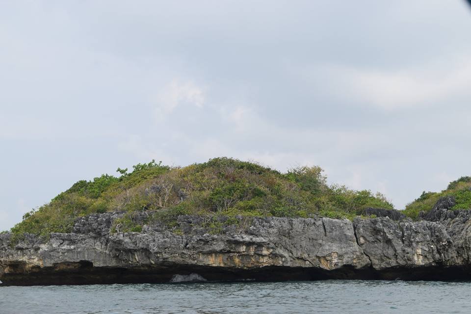 Photo uploaded by janin122, 419