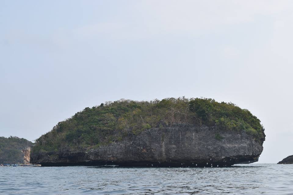 Photo uploaded by janin122, 422